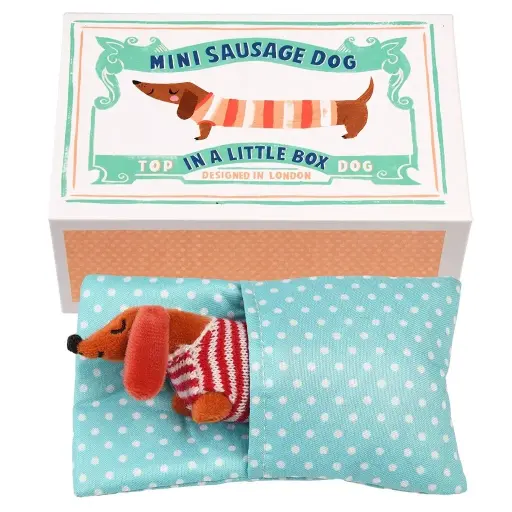 [US0436] Mini-peluche "Teckel en boîte"