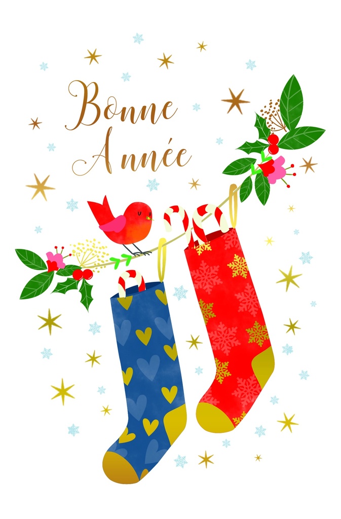 Noël des animaux