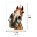 Carte d'anniversaire "Cheval"