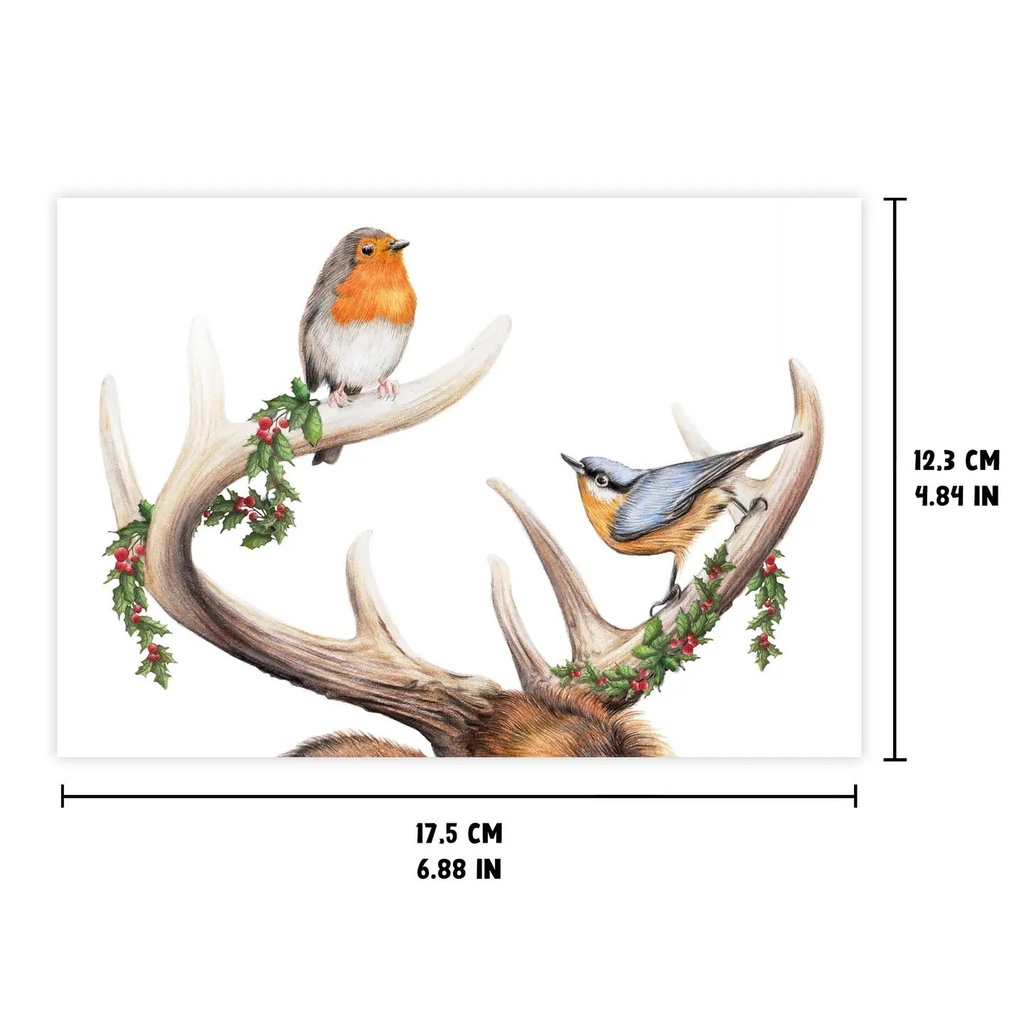 Carte d'anniversaire "Bois de cerf et oiseaux"