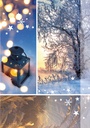 Hiver en photos