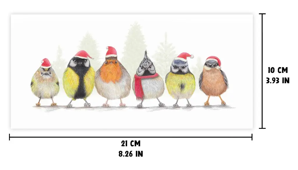 Oiseaux_de_Noël_2.webp