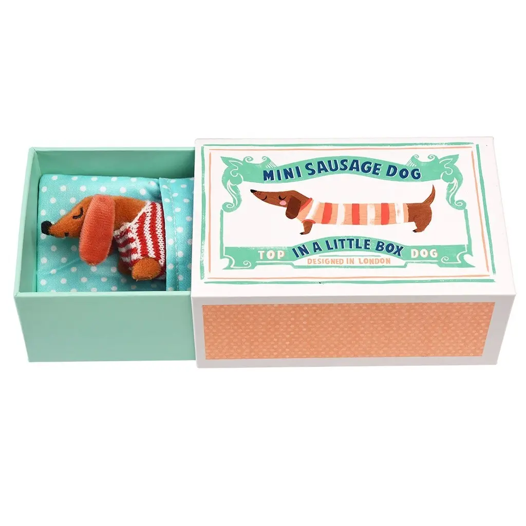 US0436_Petit_teckel_dans_une_boîte_2.webp
