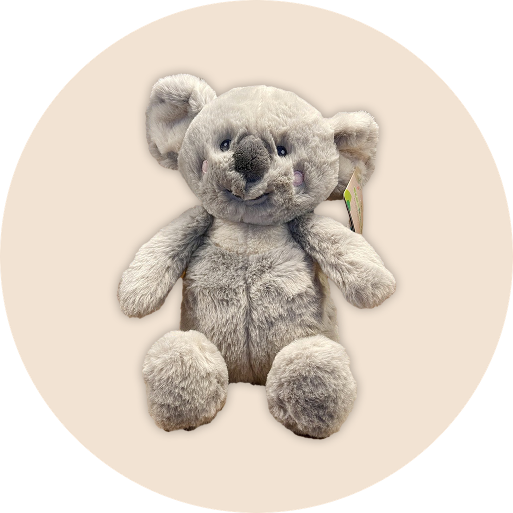 ECOANIMALS, Koala