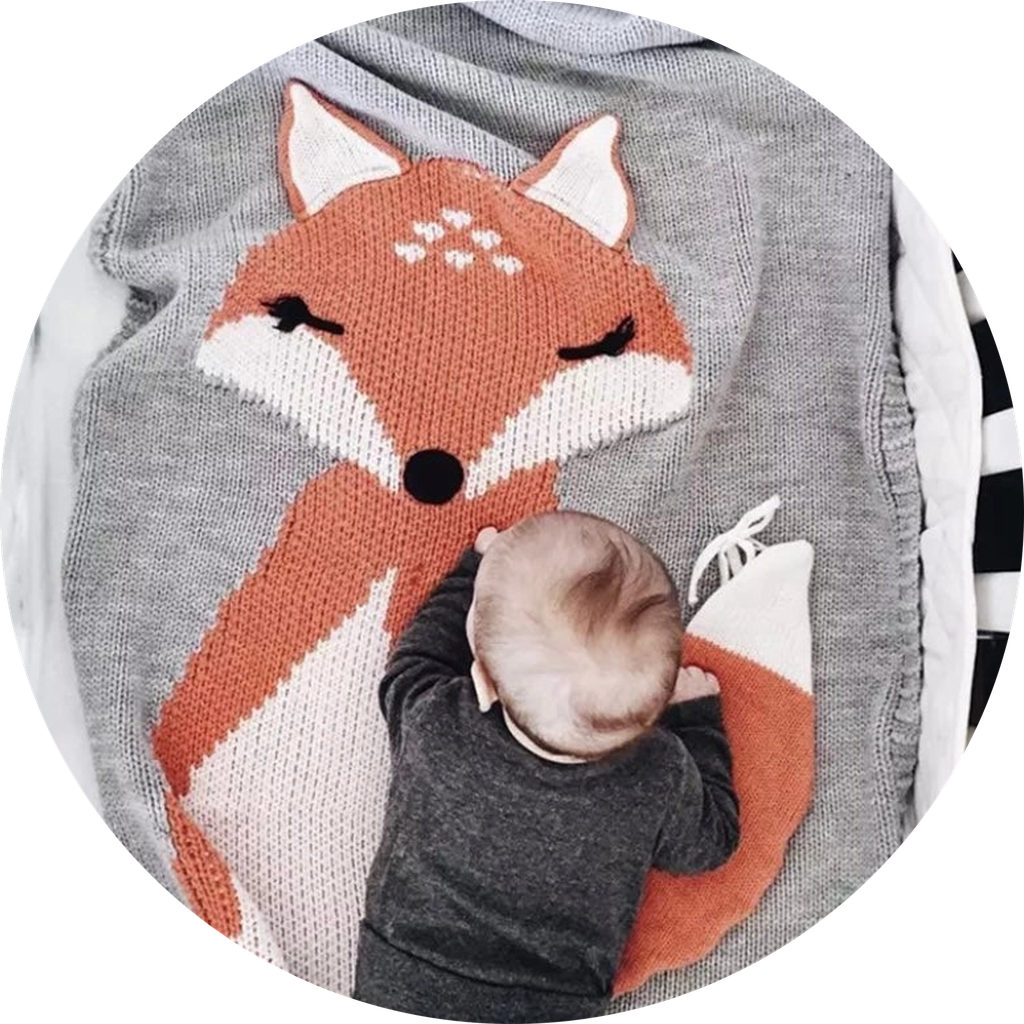 SET couverture et renard