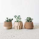 Ensemble de 3 jardinières