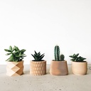 Ensemble de 4 jardinières