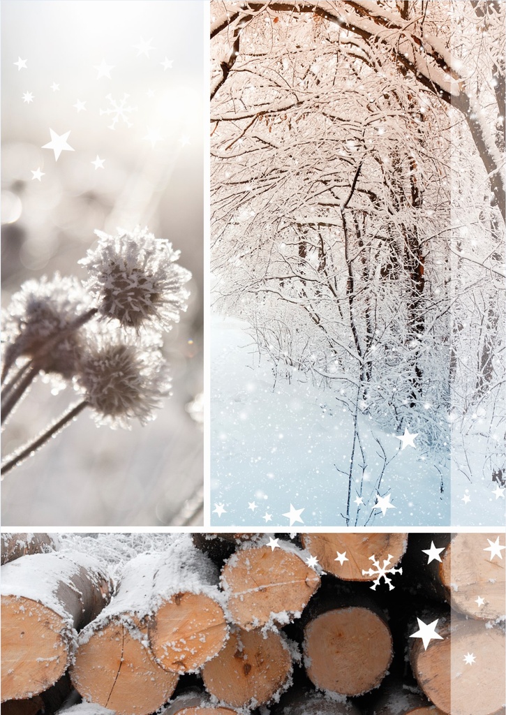 Hiver en photos