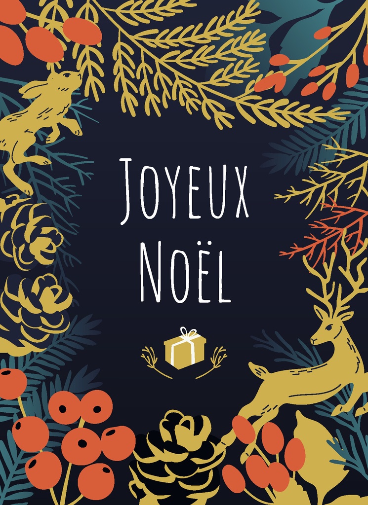 Noël au bout des rêves