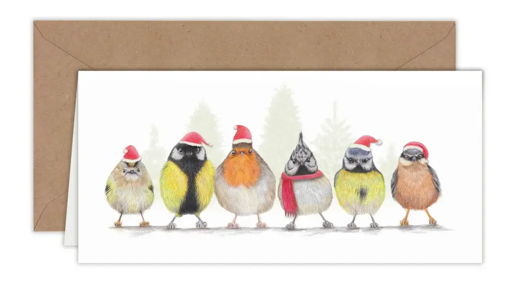 Petits oiseaux de Noël