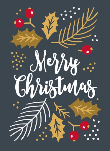 [US0235] Hiver enchanté