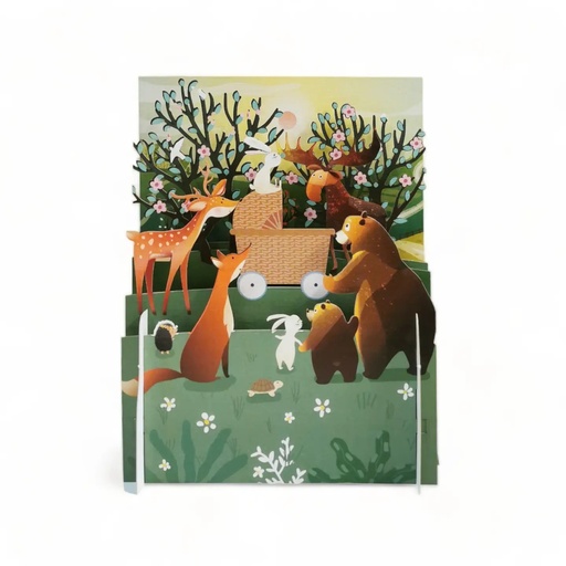 [US0323] Carte de naissance "Bébé et animaux"