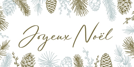 [US0307] Messages de fête