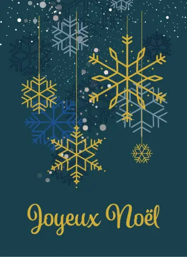 [US0345] Joie en flocons