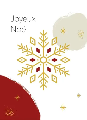 [US0347] Etoile de velours